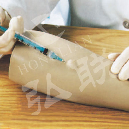 上海弘联HS12手臂皮内注射模型 全科医生HS12皮注模型