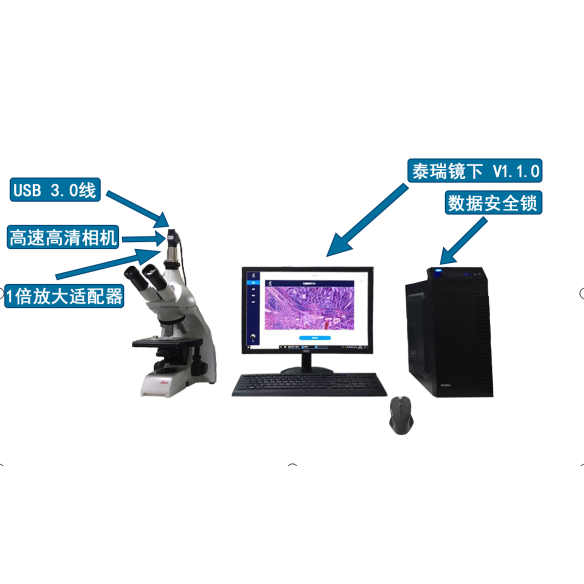 互联网显微成像系统 泰立瑞显微镜全视野成像 信息管理 远程显...