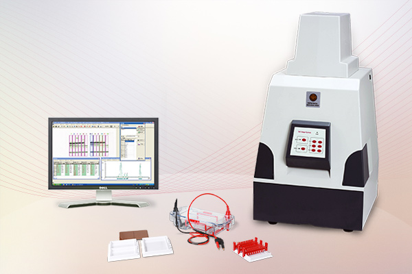 Tanon 1600 全自动数码凝胶图像分析系统