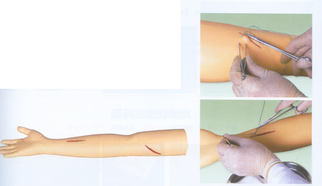 GD/LV1外科缝合手臂模型