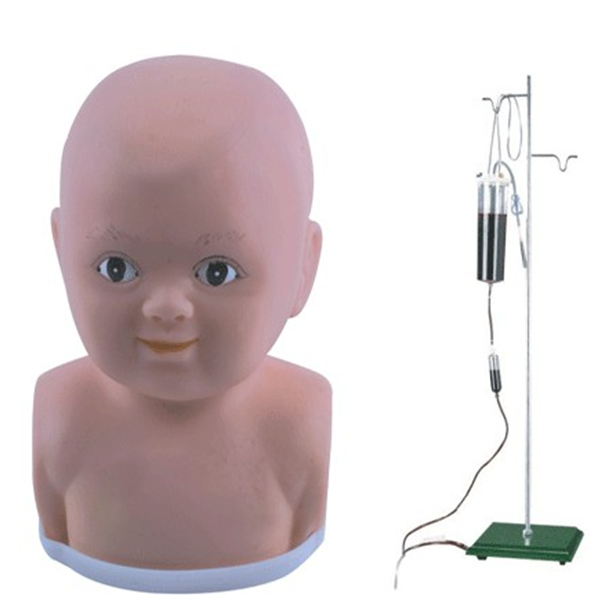 SBK/Y133儿童头部静脉注射训练模型 （皮质柔韧、质感逼...
