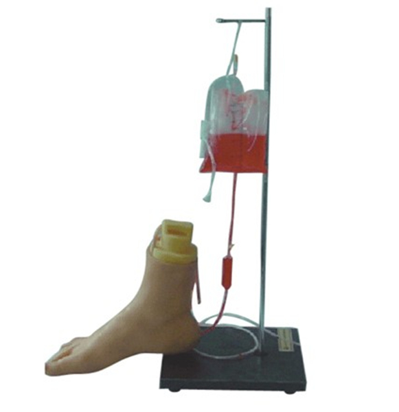 SBK/Y125下肢足部静脉注射仿真模型 （材质柔韧、耐针刺...