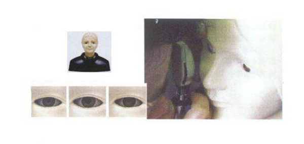 GD/LV15眼底检查模型(眼睑的皮肤可以提起，方便观察瞳孔...