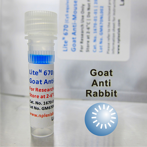 KPL Anti-Rabbit IgG(H+L)Antibo...