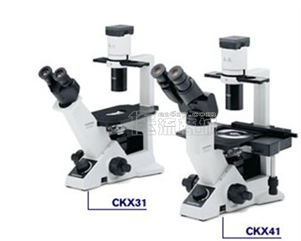 奥林巴斯olympus CKX41-A32FL/PH倒置荧光显微镜 三目 100-400X