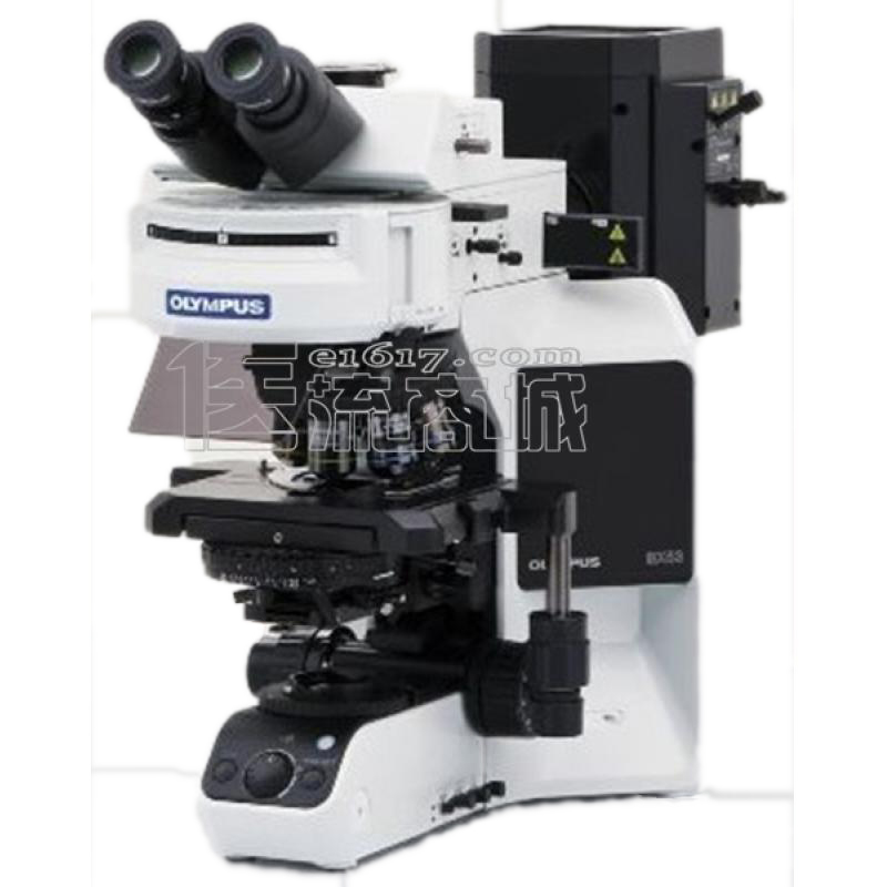 OLYMPUS奥林巴斯 BX53T-32P01研究级生物显微镜 三目 40-1000X