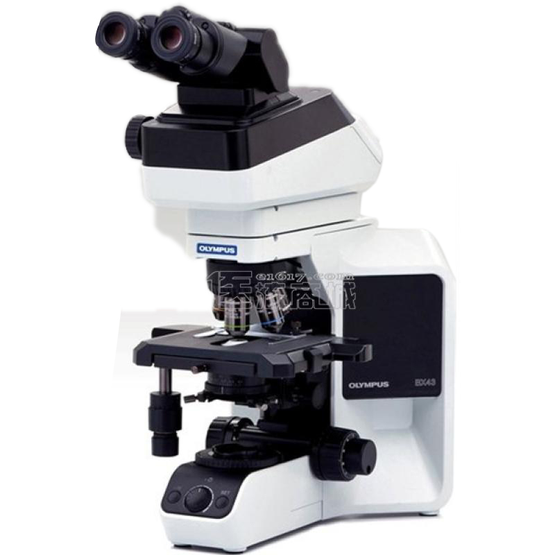 奥林巴斯 BX43-32P01HAL研究级生物显微镜 三目 40-1000X