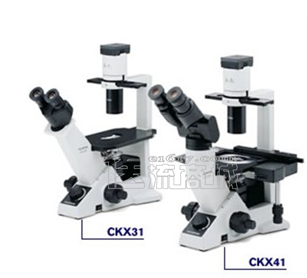 奥林巴斯 CKX41-A32PH倒置显微镜 三目 40-40...