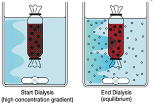 透析的过程图_2.png