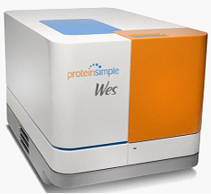 Wes— 全自动蛋白质印迹定量分析系统