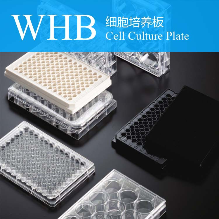 WHB品牌TC处理标准透明6孔细胞培养板，灭菌