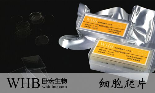 WHB品牌TC处理12孔圆形细胞爬片（直径24mm），灭菌