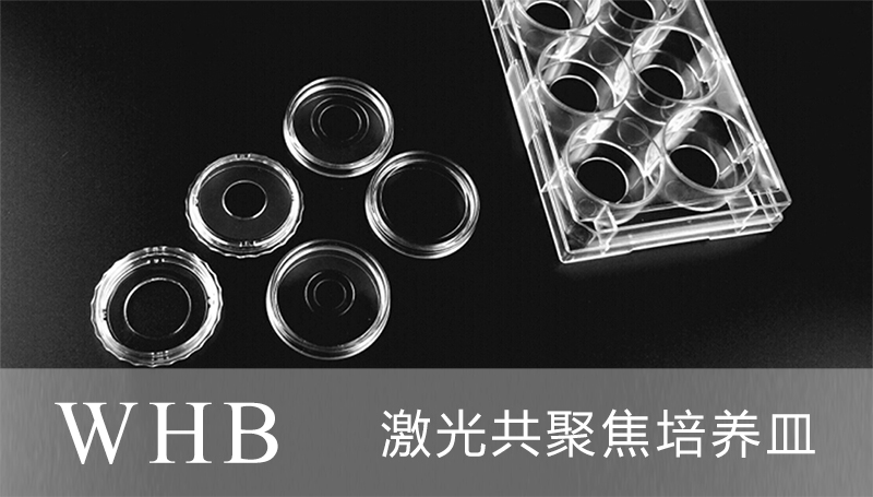 WHB品牌35mm共聚焦培养皿（玻底直径：10mm），TC处...