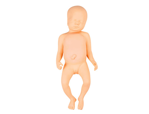 KAS-FT1足月胎儿模型