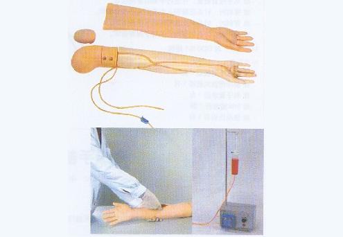 全功能静脉穿刺输液手臂模型