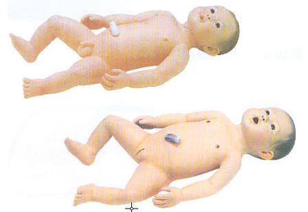 婴儿护理模型
