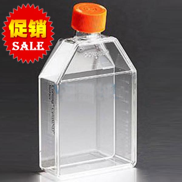 康宁Corning75cm²直角斜颈培养瓶 未表面处理 正方...