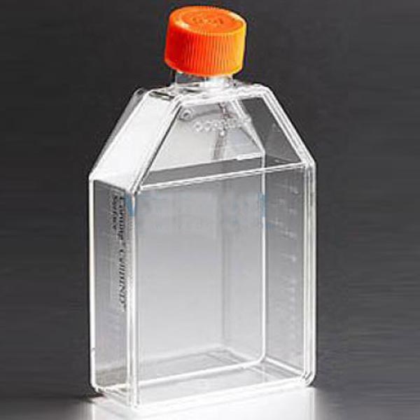 康宁Corning175cm²直角角度颈培养瓶 未表面处理 ...