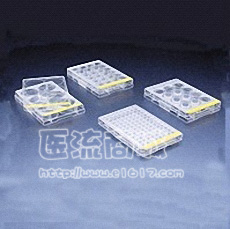 广州洁特TCP001024 24孔一次性培养板
